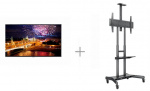 Комплект Digital Signage для помещений с дисплеем Lg WebOS Signage, 55 дюймов, UHD, мобильной стойкой и пробной версией ПО для управления CMS