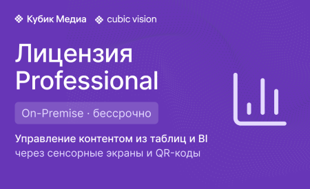 Cubic Vision Professional — бессрочная лицензия (On-Premise)