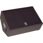 Пассивная акустическая система, сценический монитор