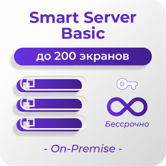 Бессрочная Smart Server Basic