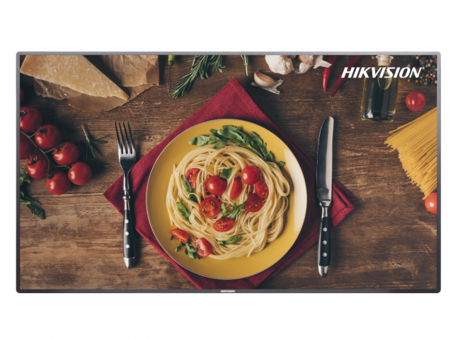 Hikvision DS-D6055UN 