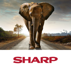 Огромный дисплей 8К со сверхчётким изображением от Sharp