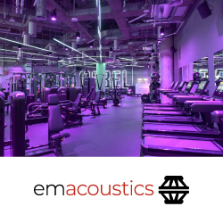 Аудиосистема EM Acoustics для «короля фитнес-клубов» в Дубае