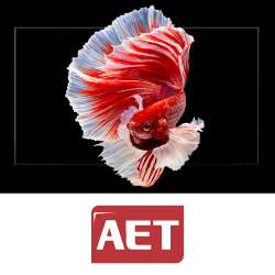 Обзор LED-экранов AET серий Koala II и NX на выставке Prointegration Tech