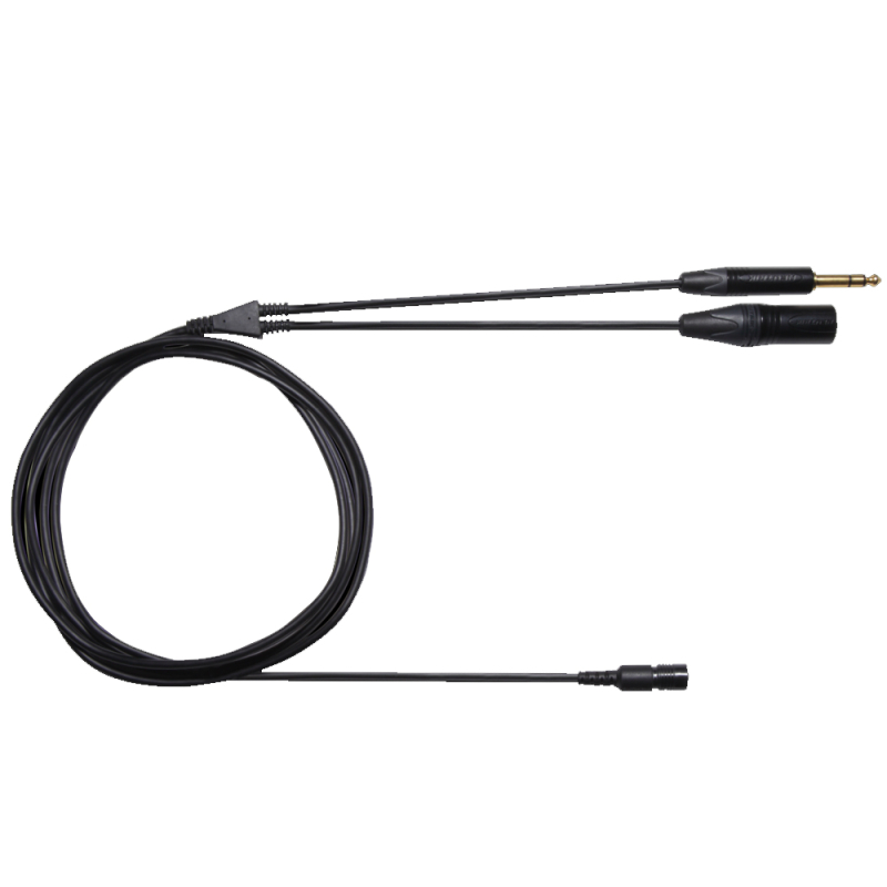 BCASCA-XLR3QI