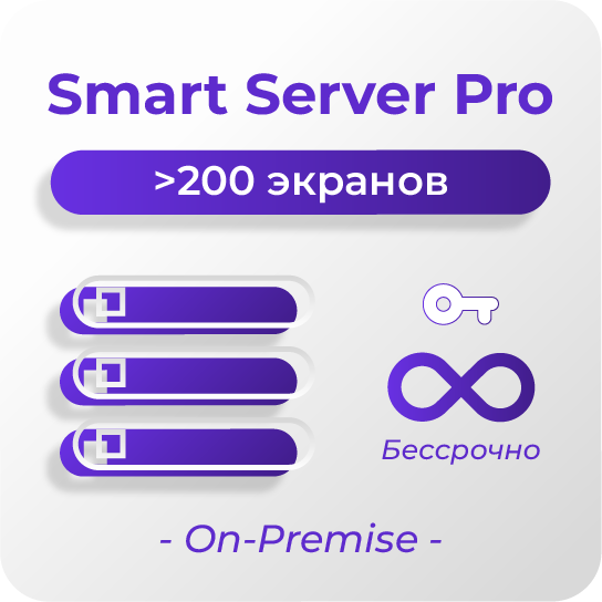 Бессрочная Smart Server Pro
