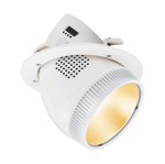 LED COB прожектор PAR (CW/WW)