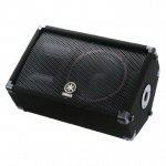 Пассивная акустическая система, сценический монитор