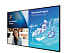 Интерактивный дисплей 75” C-Line, 18/7, Android, UHD, 350 нит