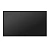 Hisense 50DM66GE-1