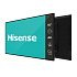 Информационный дисплей Hisense 55" 55DM66D, разрешение   3840 x 2160, яркость 500, Android 11.0